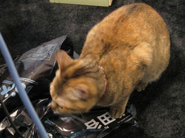 IMG01798.jpg