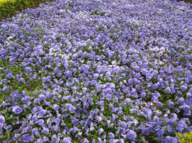 IMG01755.jpg