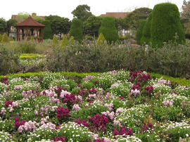 IMG01757.jpg