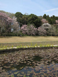 IMG01759.jpg