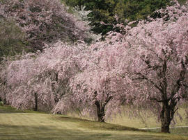 IMG01764.jpg