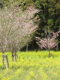 IMG01771.jpg