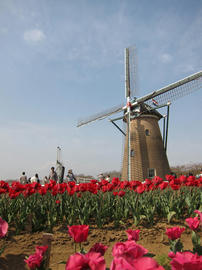 IMG01777.jpg