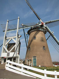 IMG01780.jpg