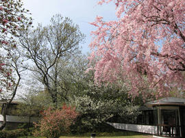 IMG01773.jpg