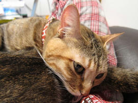 IMG01800.jpg