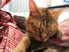 IMG01803.jpg