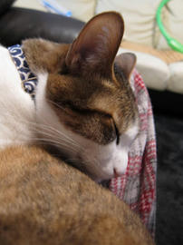 IMG01804.jpg