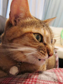 IMG01805.jpg