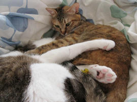 IMG01808.jpg