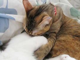 IMG01809.jpg
