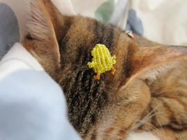 IMG01814.jpg