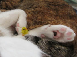 IMG01816.jpg