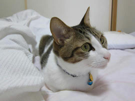 IMG01837.jpg