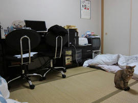 IMG01842.jpg