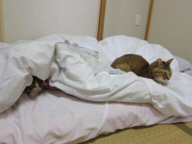 IMG01849.jpg