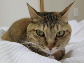 IMG01850.jpg