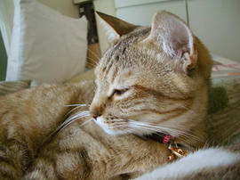 IMGP10929.jpg