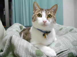 IMGP10932.jpg
