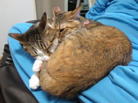 IMG01852.jpg