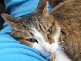 IMG01856.jpg