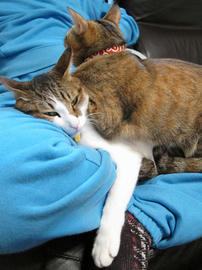 IMG01857.jpg