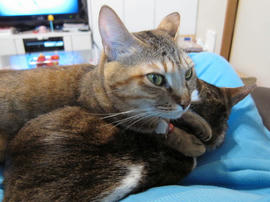 IMG01858.jpg