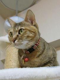 IMG01864.jpg