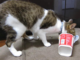 IMG01866.jpg