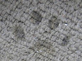IMG01867.jpg