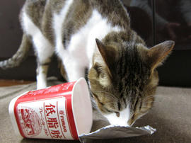 IMG01869.jpg