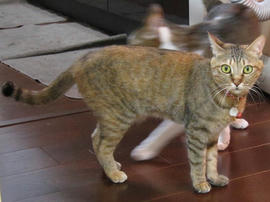 IMG01873.jpg