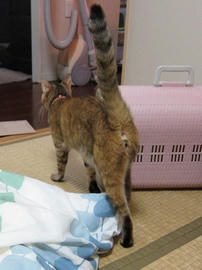 IMG01874.jpg