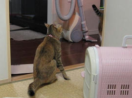 IMG01875.jpg