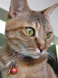 IMG01876.jpg
