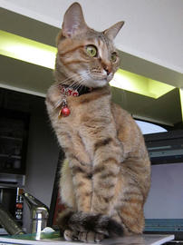 IMG01877.jpg