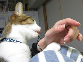 IMG01889.jpg