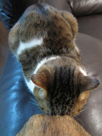 IMG01894.jpg