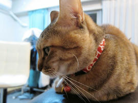 IMG01896.jpg