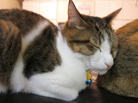 IMG01899.jpg