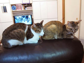 IMG01900.jpg