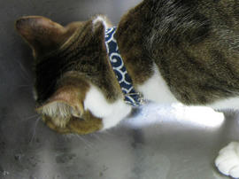 IMG01903.jpg