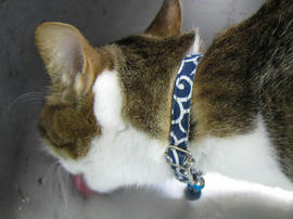 IMG01904.jpg