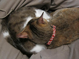 IMG01907.jpg