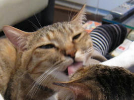 IMG01909.jpg