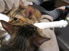IMG01910.jpg