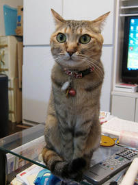 IMG01911.jpg