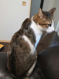 IMG01912.jpg