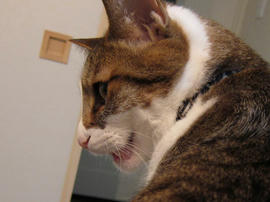 IMG01914.jpg