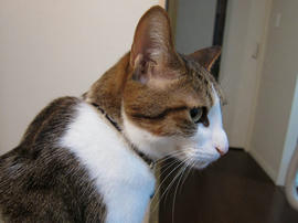 IMG01916.jpg